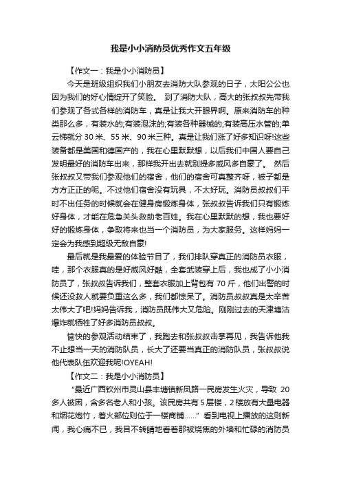 我是小小消防员优秀作文五年级