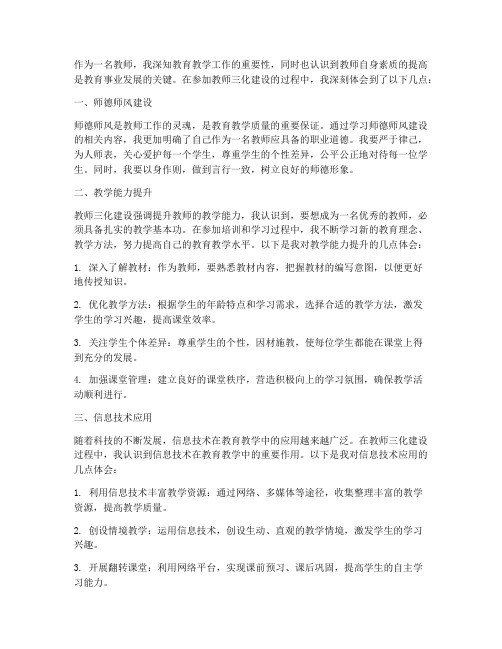 教师三化建设心得体会