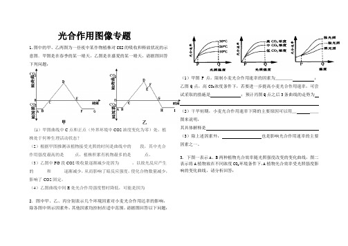 大题光合作用图像专题