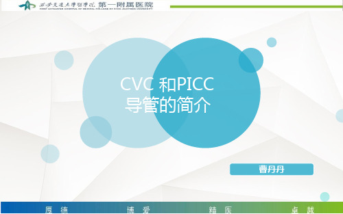 CVC-和PICC导管护理要点参考幻灯片