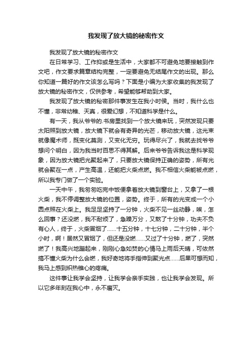 我发现了放大镜的秘密作文