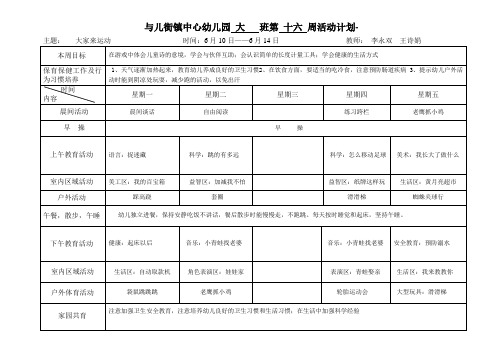 大班下学期第16周周计划表