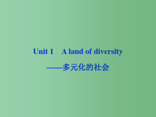 高考英语一轮总复习 Unit1 A land of diversity多元化的社会 新人教选修8