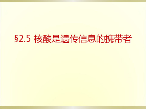 高中生物《核酸是遗传信息的携带者》PPT课件