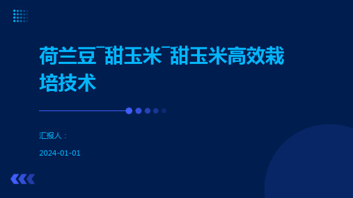 荷兰豆―甜玉米―甜玉米高效栽培技术