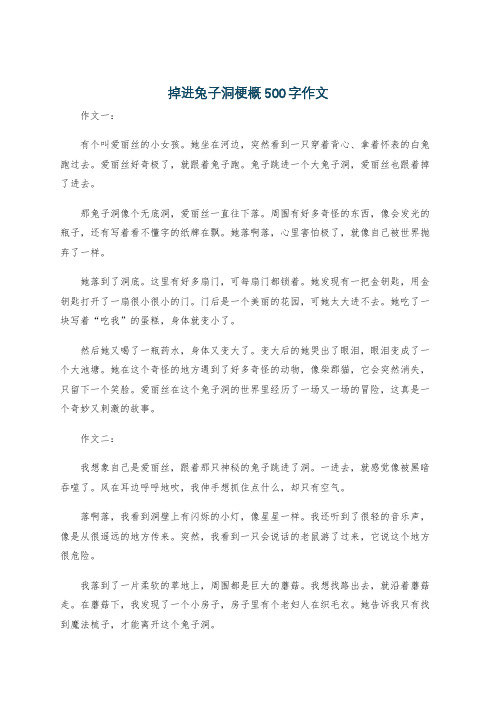 掉进兔子洞梗概500字作文