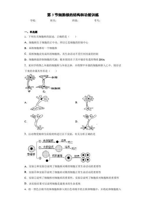 第3节细胞核的结构和功能训练