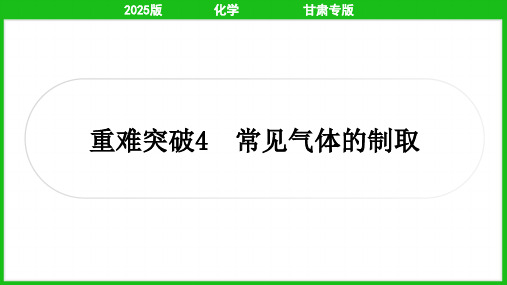 2025年中考化学总复习重难突破4常见气体的制取