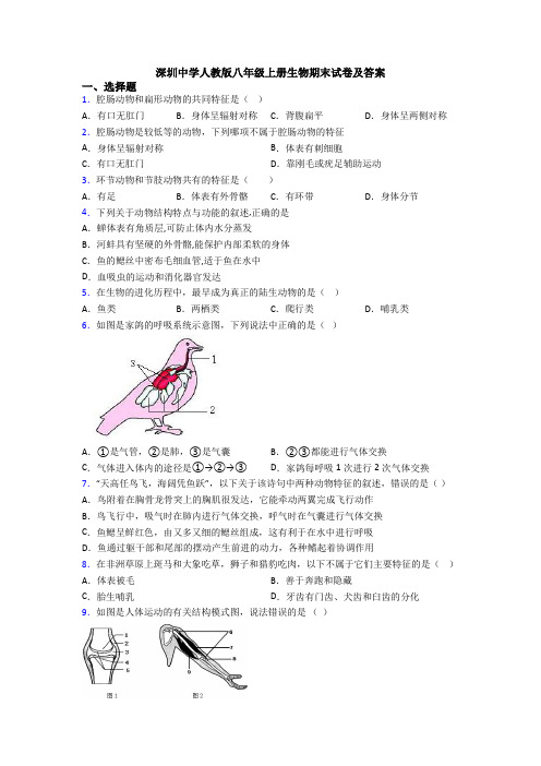 深圳中学人教版八年级上册生物期末试卷及答案