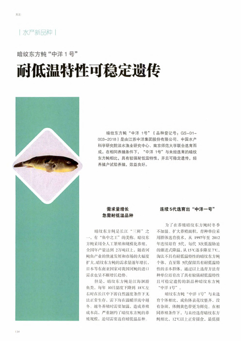 暗纹东方鲀“中洋1号” 耐低温特性可稳定遗传