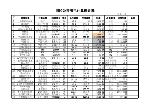 园区公共用电计量统计表