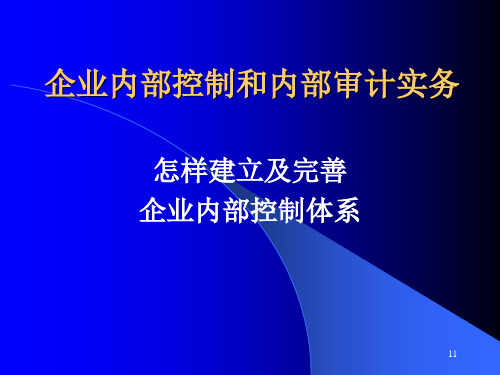 企业内部控制和内部审计实务培训讲义(ppt 163页)