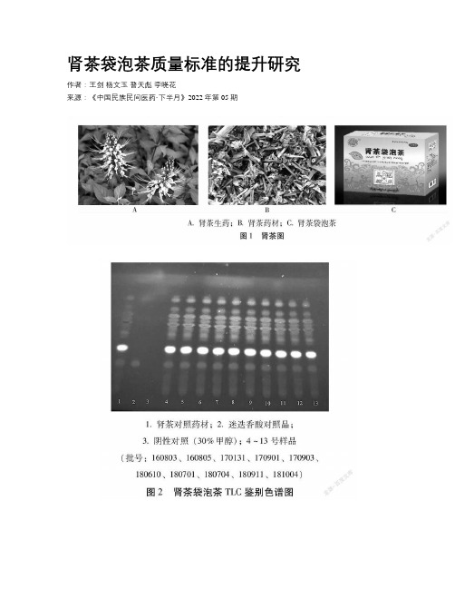 肾茶袋泡茶质量标准的提升研究