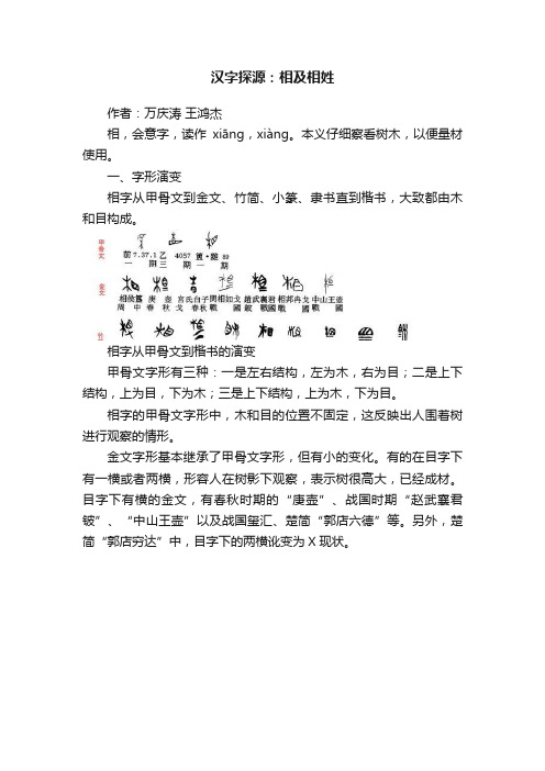 汉字探源：相及相姓