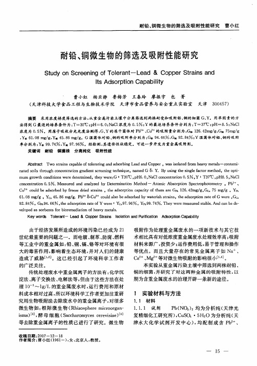 耐铅、铜微生物的筛选及吸附性能研究