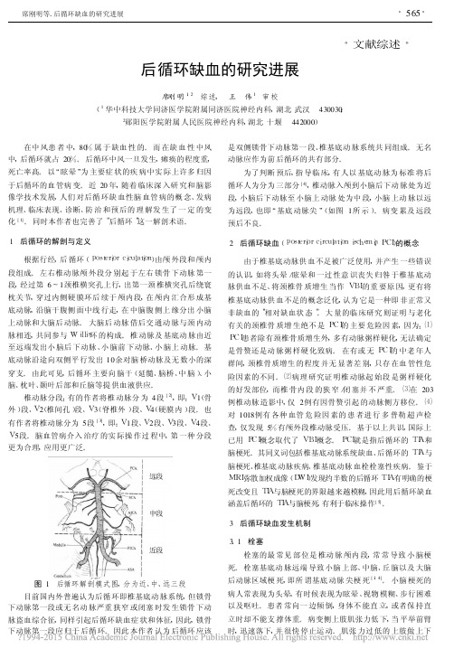 后循环缺血的研究进展_席刚明