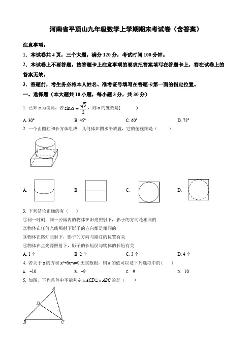 河南省平顶山九年级数学上学期期末考试卷(含答案)