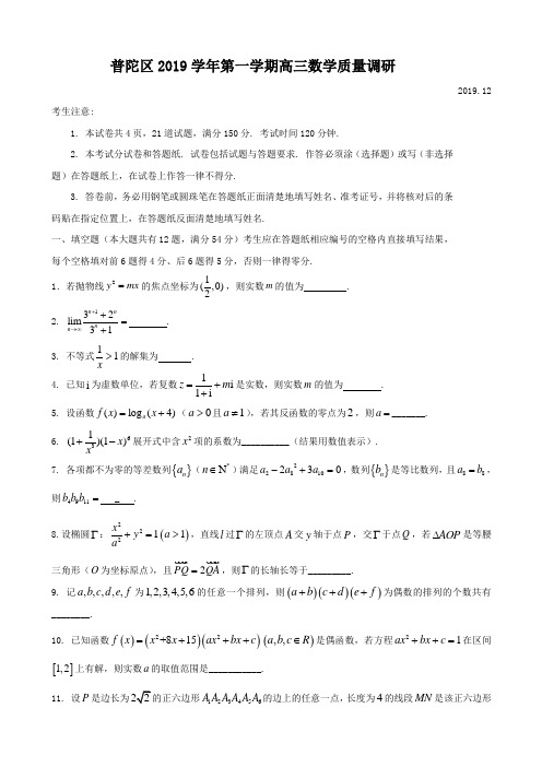2020届上海市普陀区高三上学期质量调研(一模)数学试题