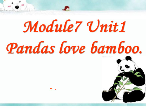 《Pandas love bamboo》PPT课件