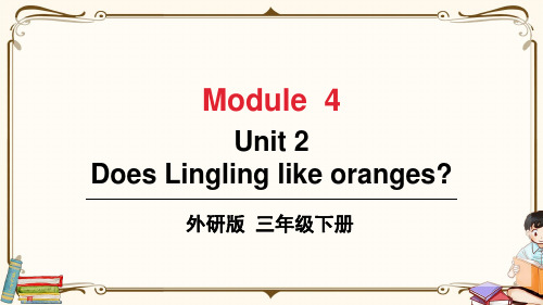 外研版三年级英语下册 Module 4 Unit 2 教学课件