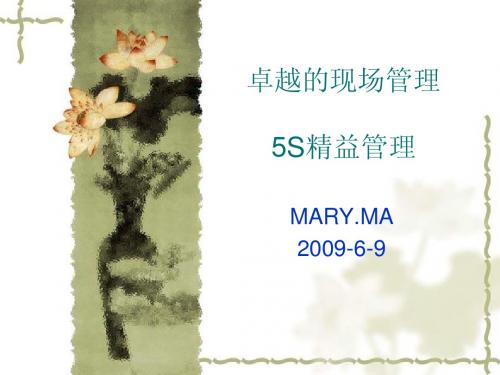 5S管理与企业文化.ppt