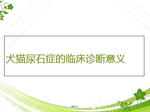 【兽医学课件】犬猫尿石症的临床诊断意义  ppt课件