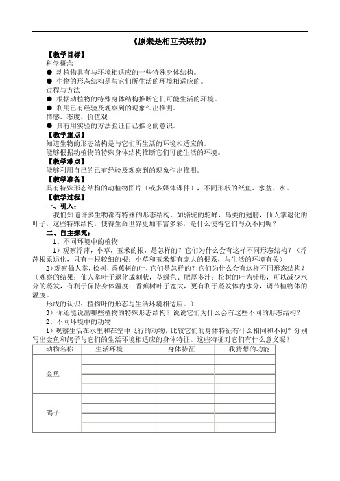 教科版六年级科学上册《4.6  原来是相互关联的》教案含教学反思