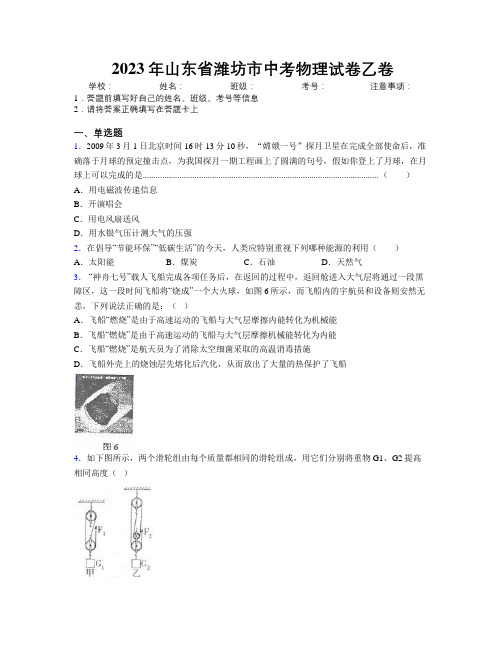 2023年山东省潍坊市中考物理试卷乙卷及解析