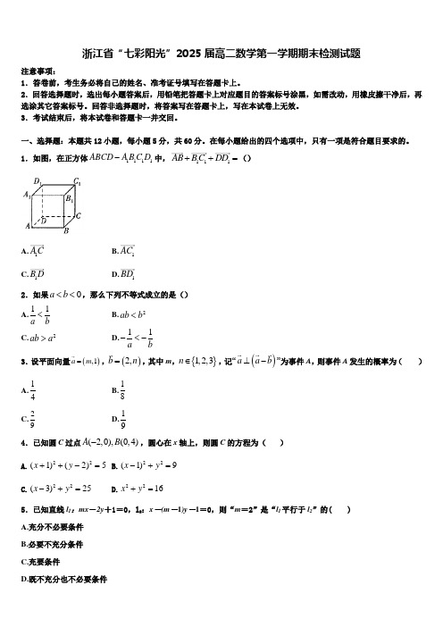 浙江省“七彩阳光”2025届高二数学第一学期期末检测试题含解析