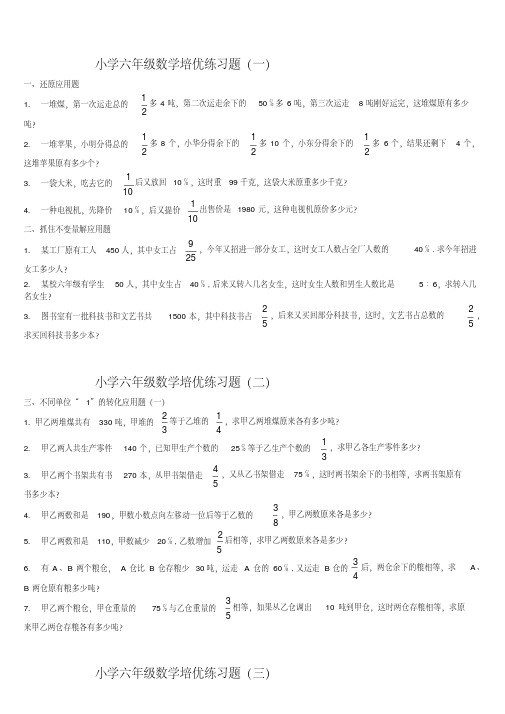 小学六年级数学培优练习题.doc