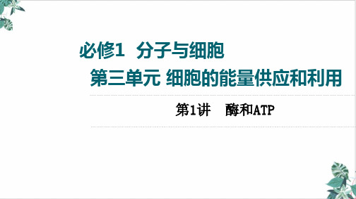 高三一轮复习高考人教版生物第酶和ATP课件