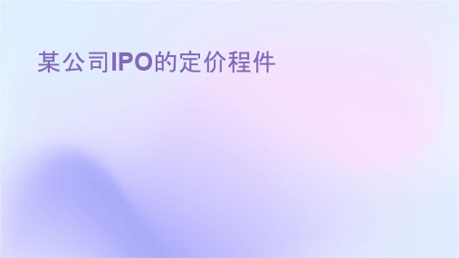 某公司IPO的定价过程课件