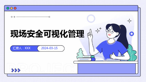 现场安全可视化管理 PPT