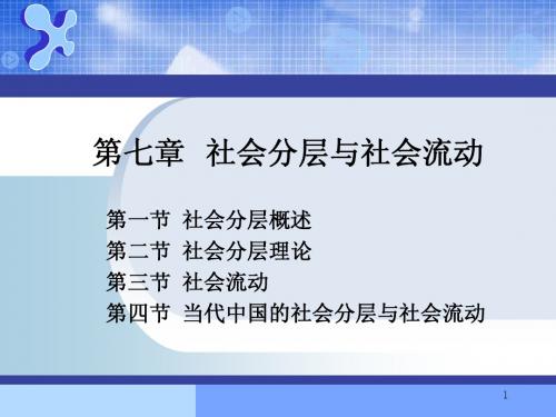 7第七章+社会分层与社会流动