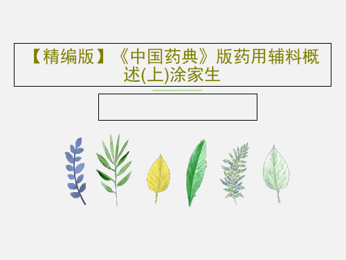 【精编版】《中国药典》版药用辅料概述(上)涂家生共32页文档