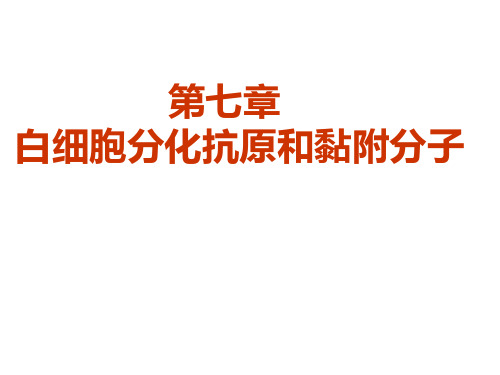 第七章白细胞分化抗原和黏附分子PPT课件