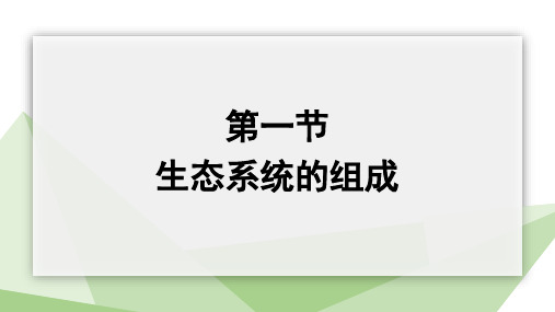 6.2.1 生态系统的组成 课件(共16张PPT)济南版生物八年级下册