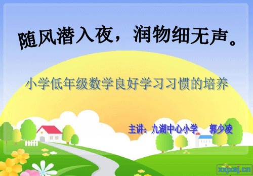 小学生数学习惯养成(课堂PPT)