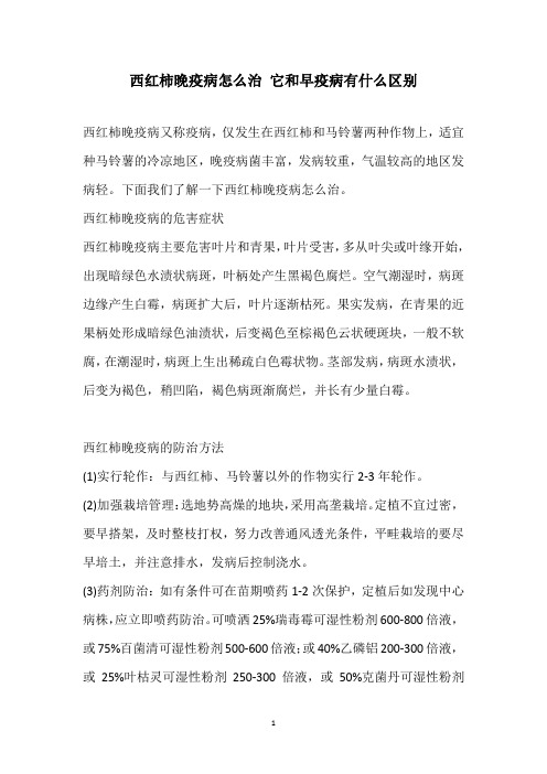 西红柿晚疫病怎么治 它和早疫病有什么区别