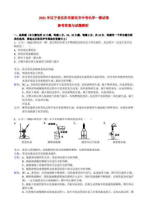 辽宁省沈阳市新民市2013年中考化学一模试卷 新、.doc