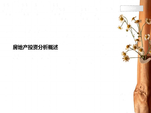 房地产投资分析概述