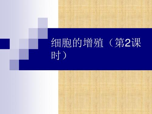 浙科版高中生物必修一 细胞的增殖(第二课时) 名师公开课优质课件(20张)