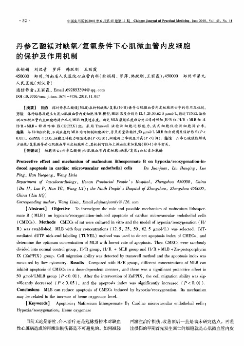 丹参乙酸镁对缺氧／复氧条件下心肌微血管内皮细胞的保护及作用机制