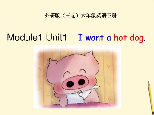 新外研版小学六年级英语下册课件英语： Module 1 Unit 1【I want a hot dog.】课件(三起)