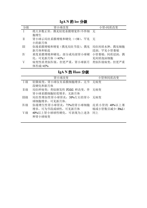 《IgA肾病分级》word版