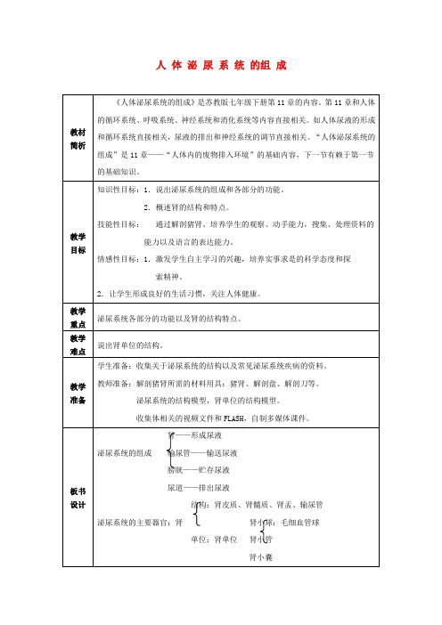 七年级生物下册 第11章第1节 人体泌尿系统的组成 学案(无答案)苏教版