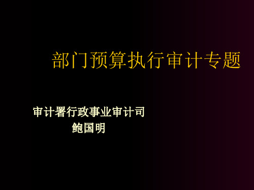 部门预算执行审计专题PPT课件