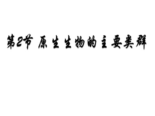 原生生物的主要类群 初中生物人教版八年级上册课件