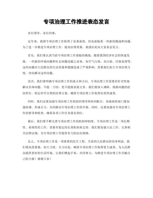 专项治理工作推进表态发言