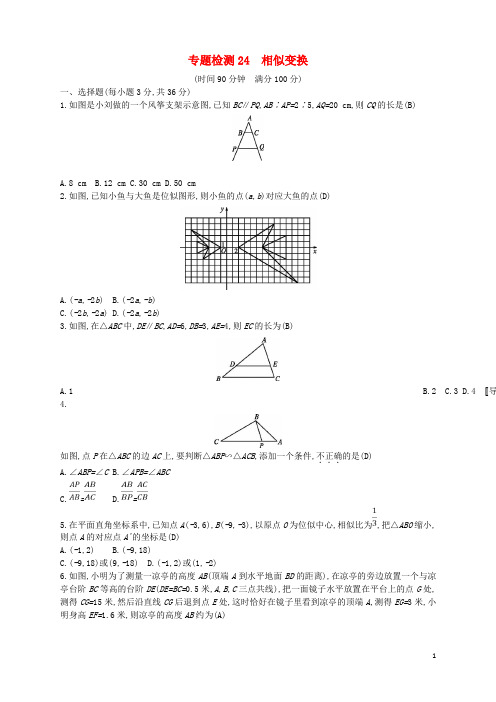 通用版2018年中考数学总复习专题检测24相似变换试题新版新人教版20180111117